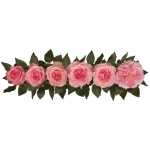Mayras Rose / Майрас Роуз